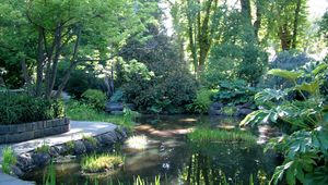 Preview wallpaper garden, pond, trees, shadows, light, water