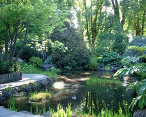 Preview wallpaper garden, pond, trees, shadows, light, water