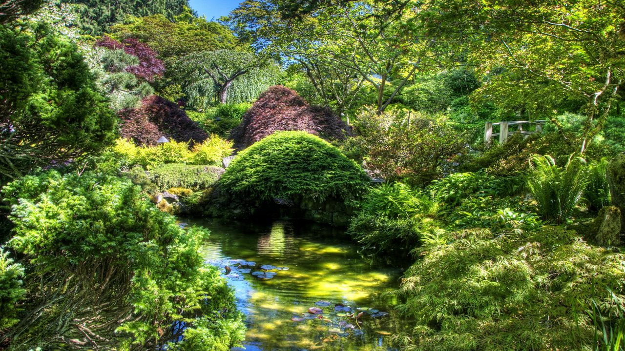 Wallpaper garden, pond, variety, vegetation, brightly