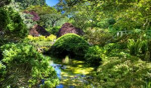Preview wallpaper garden, pond, variety, vegetation, brightly