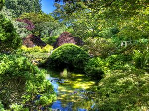 Preview wallpaper garden, pond, variety, vegetation, brightly