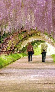 Preview wallpaper garden, spring, people, walk, flowering