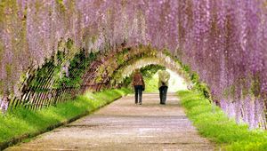 Preview wallpaper garden, spring, people, walk, flowering
