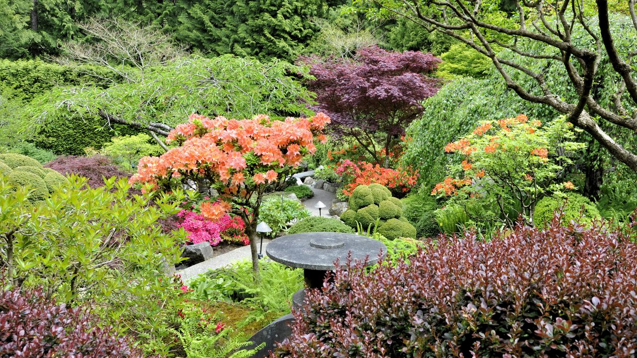 Wallpaper garden, trees, from above, bushes, orange, lilac, green
