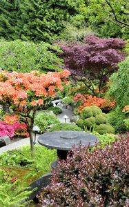 Preview wallpaper garden, trees, from above, bushes, orange, lilac, green