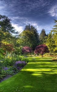 Preview wallpaper garden, trees, vegetation, lawn, grass, protection, sky, chains