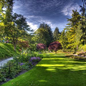 Preview wallpaper garden, trees, vegetation, lawn, grass, protection, sky, chains