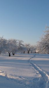 Preview wallpaper garden, winter, traces, tracks, snow, snowdrifts, cover, trees, gray hair, shadows, freshness