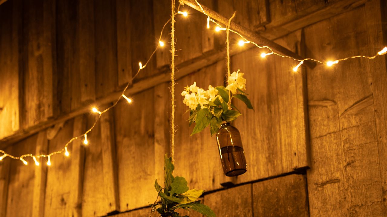 Wallpaper garland, bulbs, flowers, creative, decor hd, picture, image