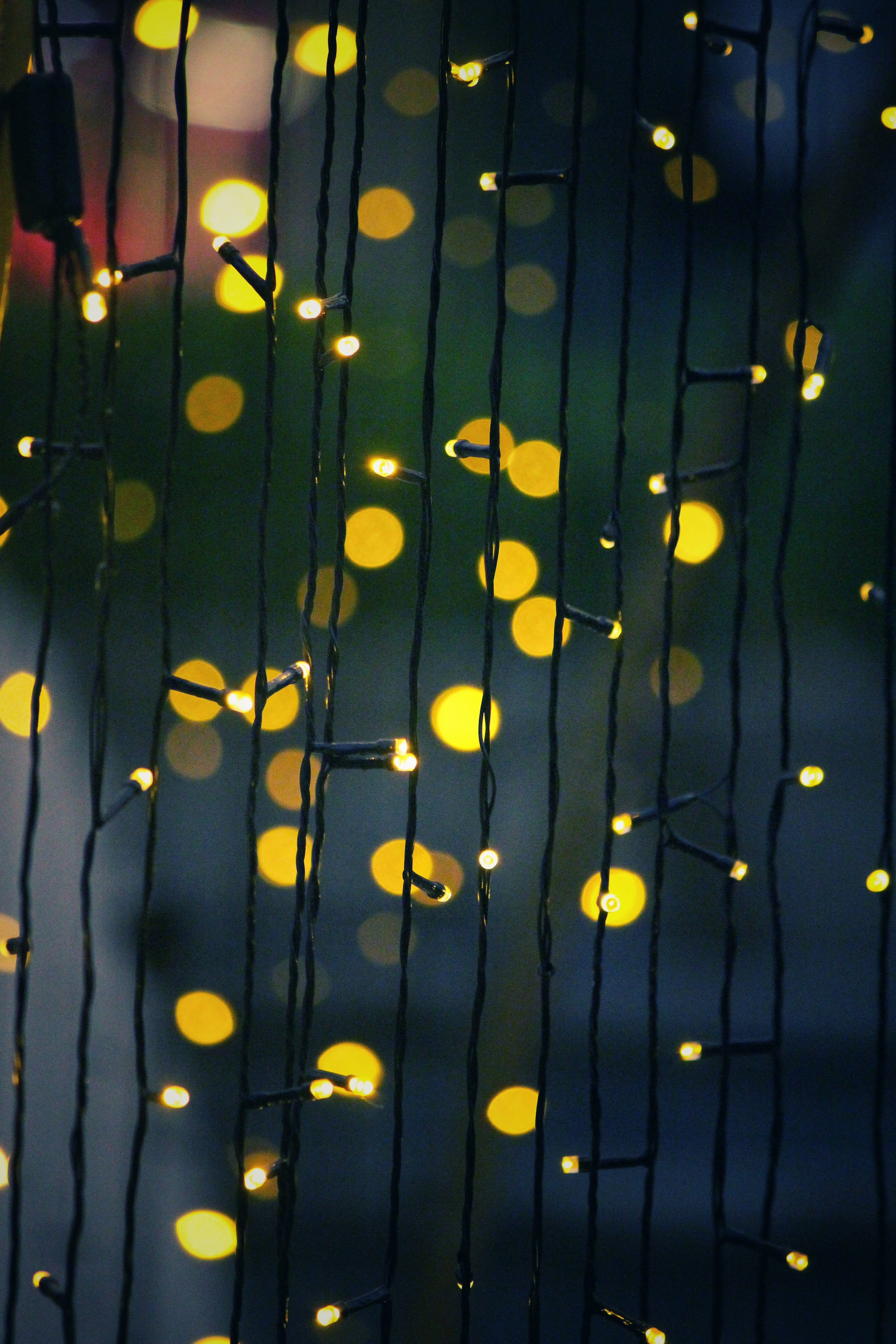 Download wallpaper 3456x5184 garland, glare, bokeh, light bulbs hd  background