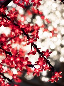 Preview wallpaper garland, glare, bokeh, flowers