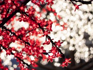 Preview wallpaper garland, glare, bokeh, flowers