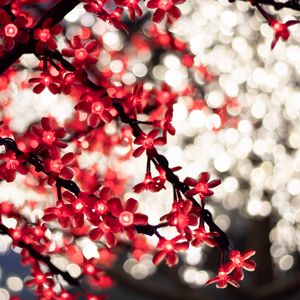 Preview wallpaper garland, glare, bokeh, flowers