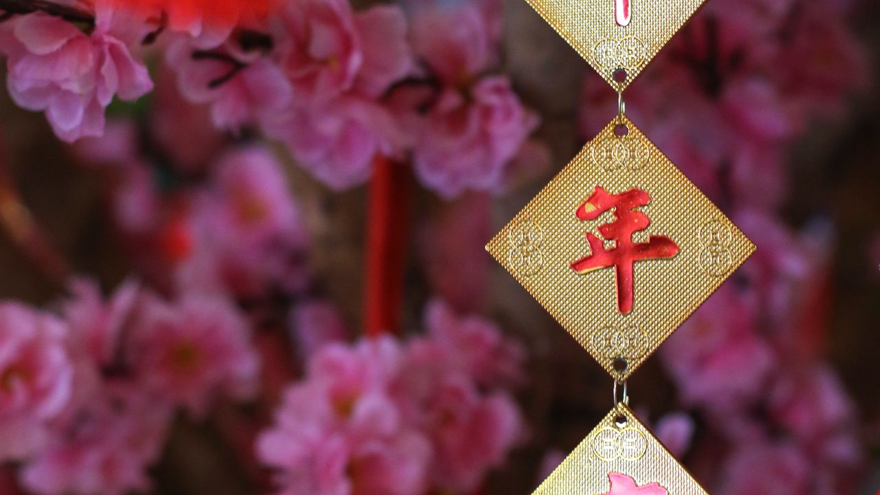Wallpaper garland, hieroglyphs, flowers, chinese new year