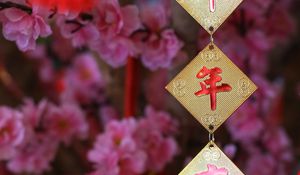 Preview wallpaper garland, hieroglyphs, flowers, chinese new year