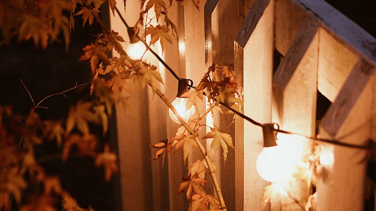 Wallpaper garland, lamps, glow, branches, evening hd, picture, image