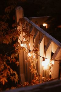 Preview wallpaper garland, lamps, glow, branches, evening