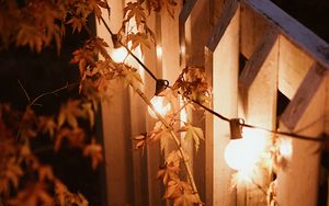 Preview wallpaper garland, lamps, glow, branches, evening