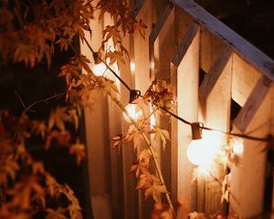 Preview wallpaper garland, lamps, glow, branches, evening
