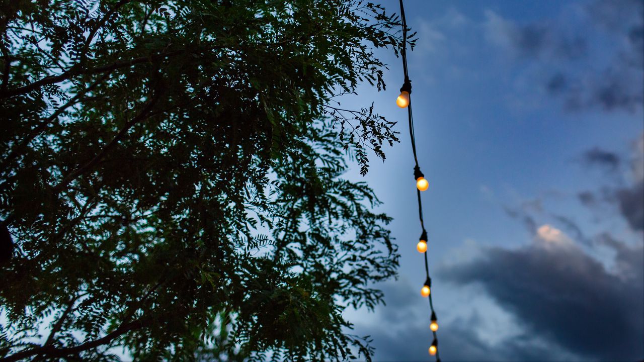 Wallpaper garland, light bulbs, wire, electric, branches, sky
