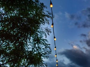 Preview wallpaper garland, light bulbs, wire, electric, branches, sky
