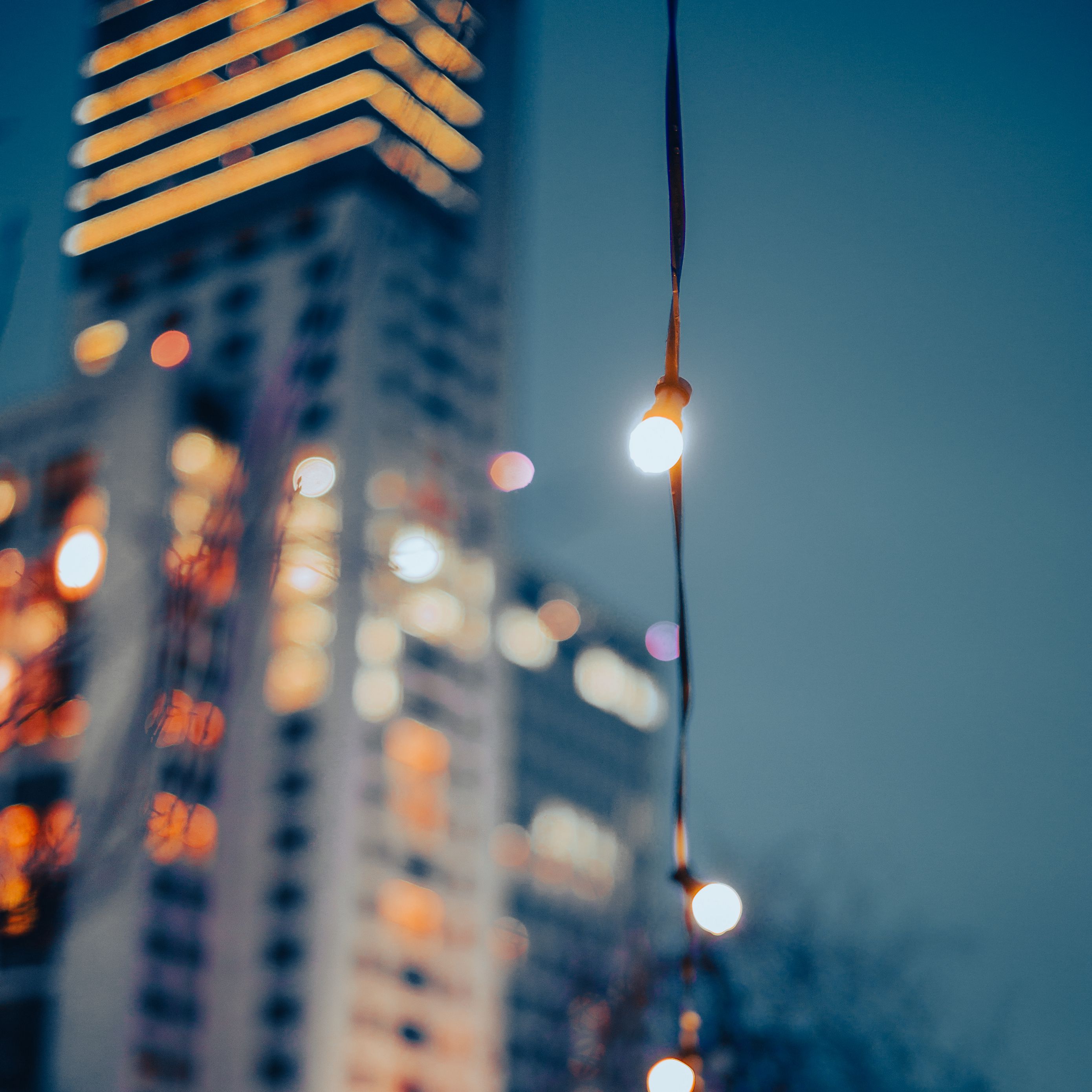 2780x2780 Wallpaper garland, lights, blur, bokeh