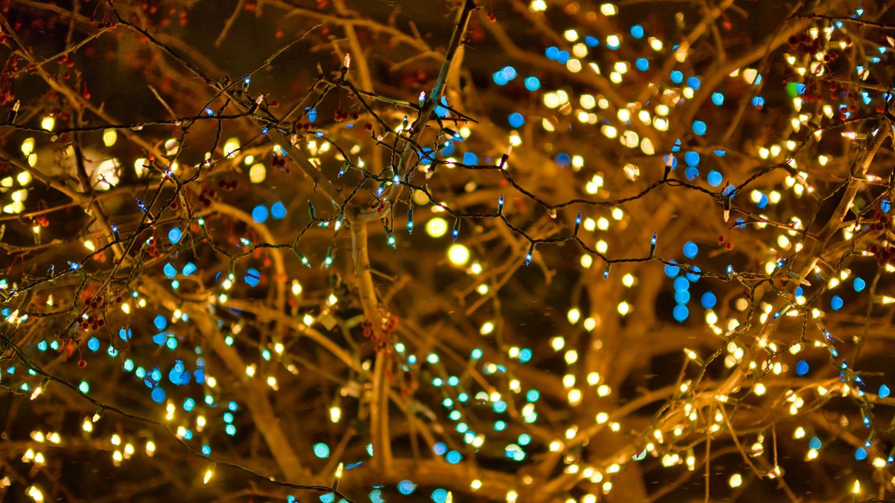 Wallpaper garland, lights, branches, bokeh, blur