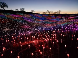 Preview wallpaper garland, lights, light, colorful, field, dark