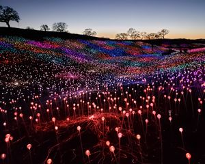 Preview wallpaper garland, lights, light, colorful, field, dark