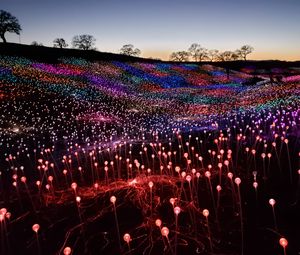 Preview wallpaper garland, lights, light, colorful, field, dark