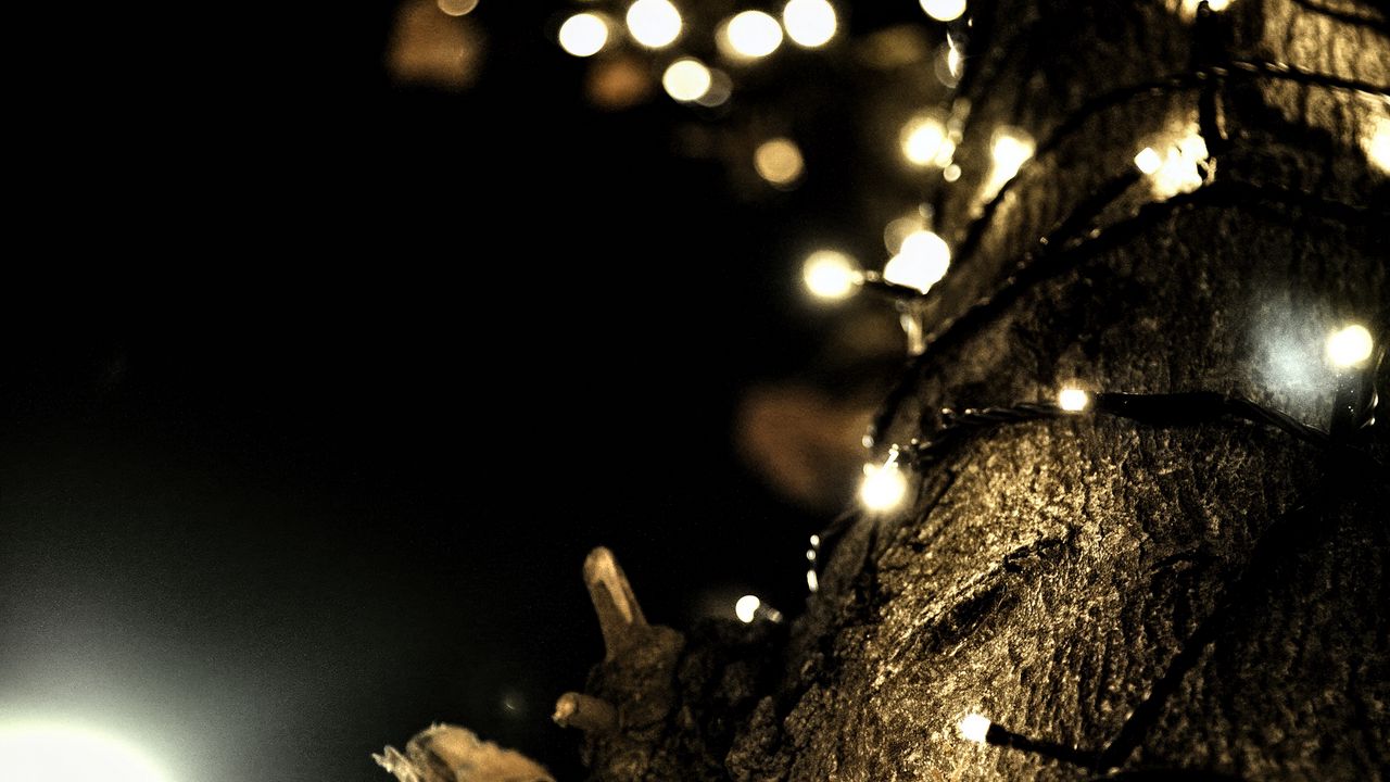 Wallpaper garland, lights, tree, bark, dark