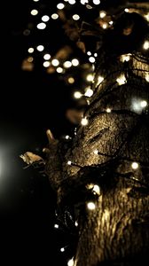 Preview wallpaper garland, lights, tree, bark, dark