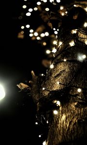 Preview wallpaper garland, lights, tree, bark, dark