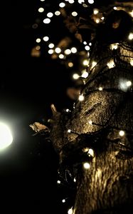 Preview wallpaper garland, lights, tree, bark, dark