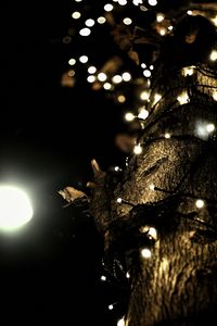 Preview wallpaper garland, lights, tree, bark, dark