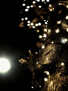 Preview wallpaper garland, lights, tree, bark, dark