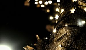 Preview wallpaper garland, lights, tree, bark, dark