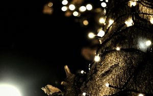 Preview wallpaper garland, lights, tree, bark, dark