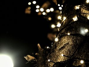 Preview wallpaper garland, lights, tree, bark, dark