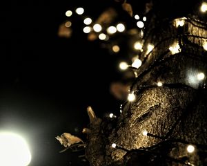 Preview wallpaper garland, lights, tree, bark, dark