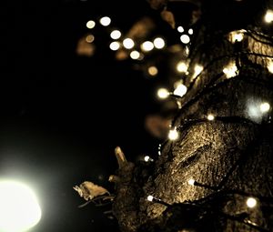 Preview wallpaper garland, lights, tree, bark, dark