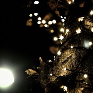 Preview wallpaper garland, lights, tree, bark, dark