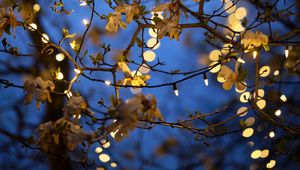 Preview wallpaper garland, tree, branches, blur, evening