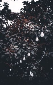 Preview wallpaper garland, wire, bulbs, branches, tree