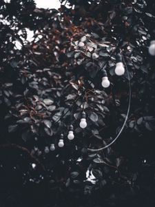 Preview wallpaper garland, wire, bulbs, branches, tree