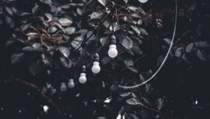 Preview wallpaper garland, wire, bulbs, branches, tree