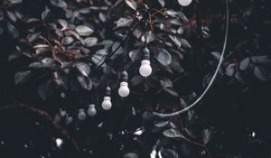 Preview wallpaper garland, wire, bulbs, branches, tree