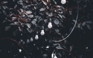 Preview wallpaper garland, wire, bulbs, branches, tree