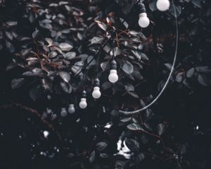 Preview wallpaper garland, wire, bulbs, branches, tree