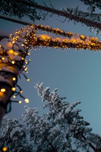 Preview wallpaper garlands, snow, trees, decoration, winter